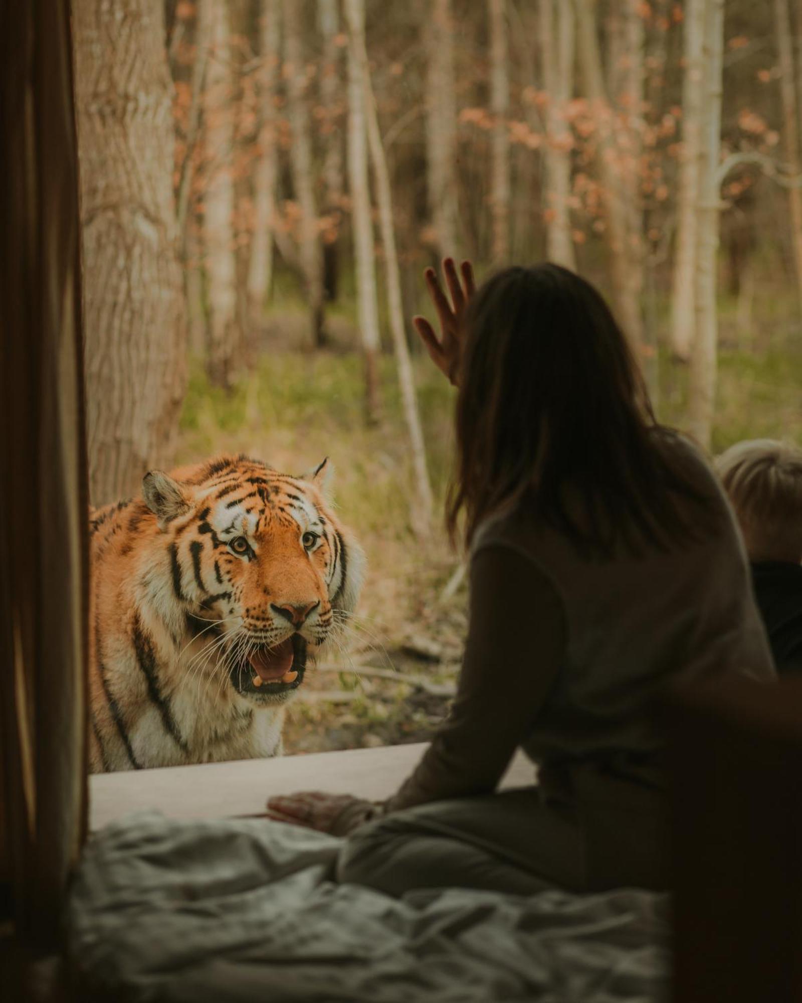 Knuthenborg Safaripark Hotel Maribo Bagian luar foto