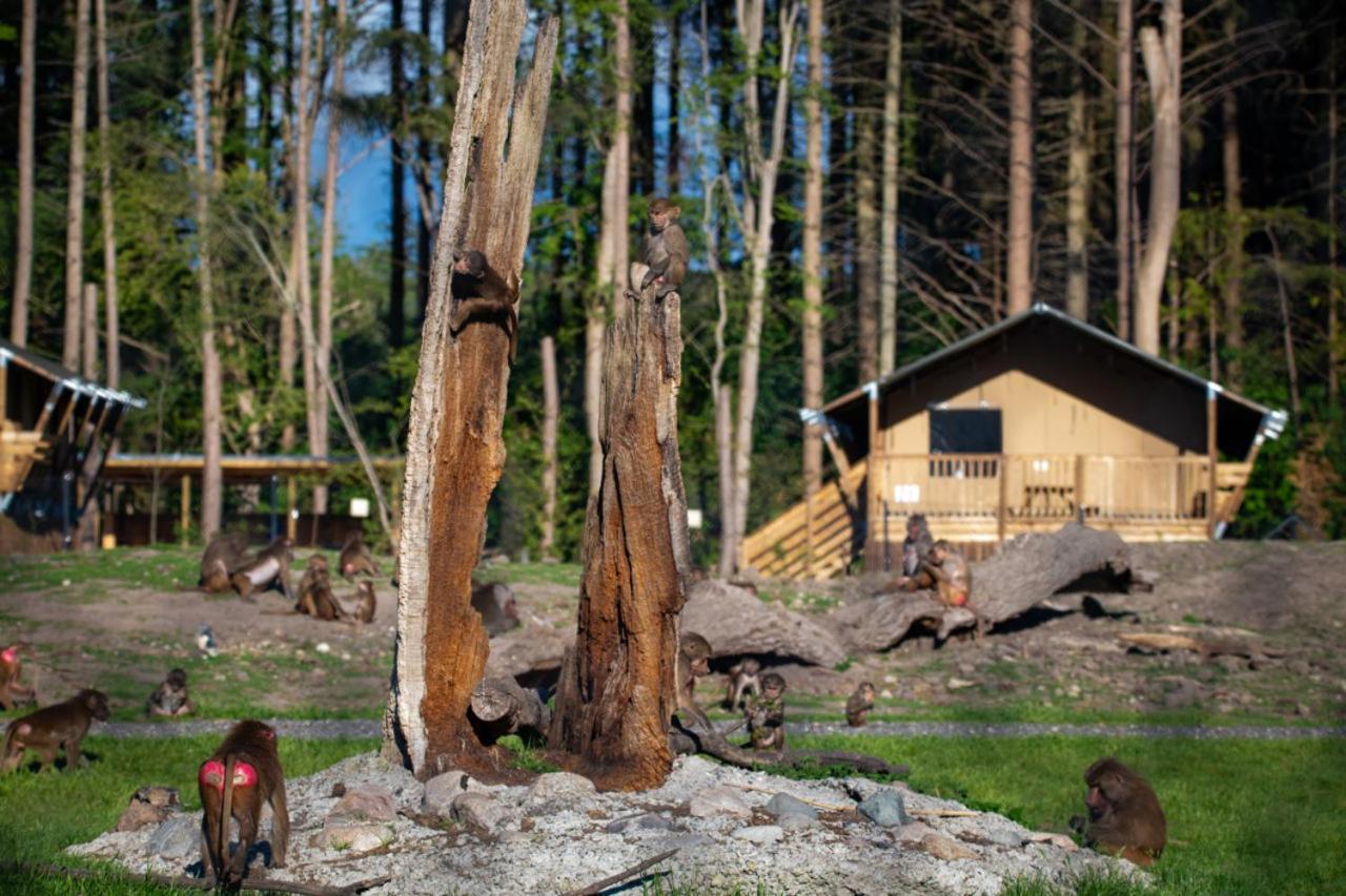 Knuthenborg Safaripark Hotel Maribo Bagian luar foto