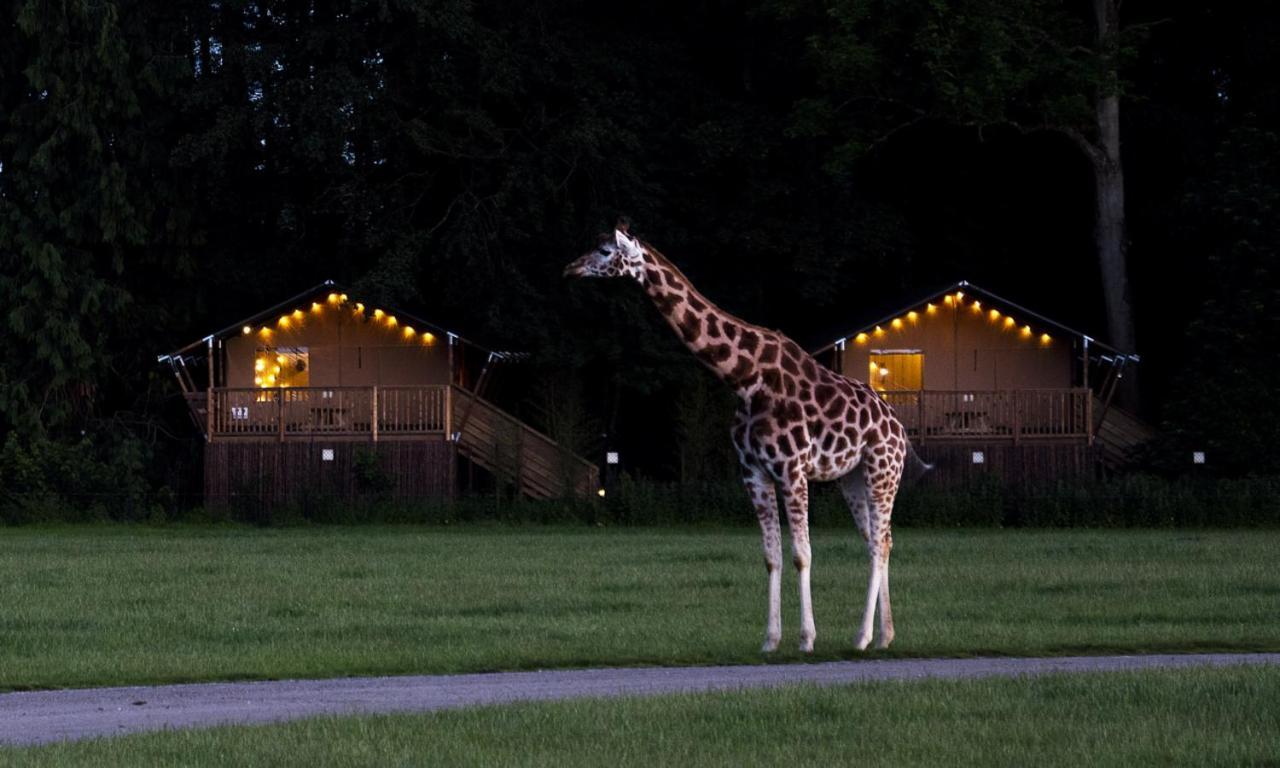 Knuthenborg Safaripark Hotel Maribo Bagian luar foto