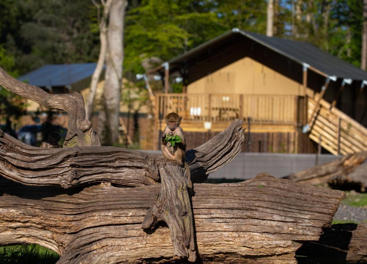 Knuthenborg Safaripark Hotel Maribo Bagian luar foto