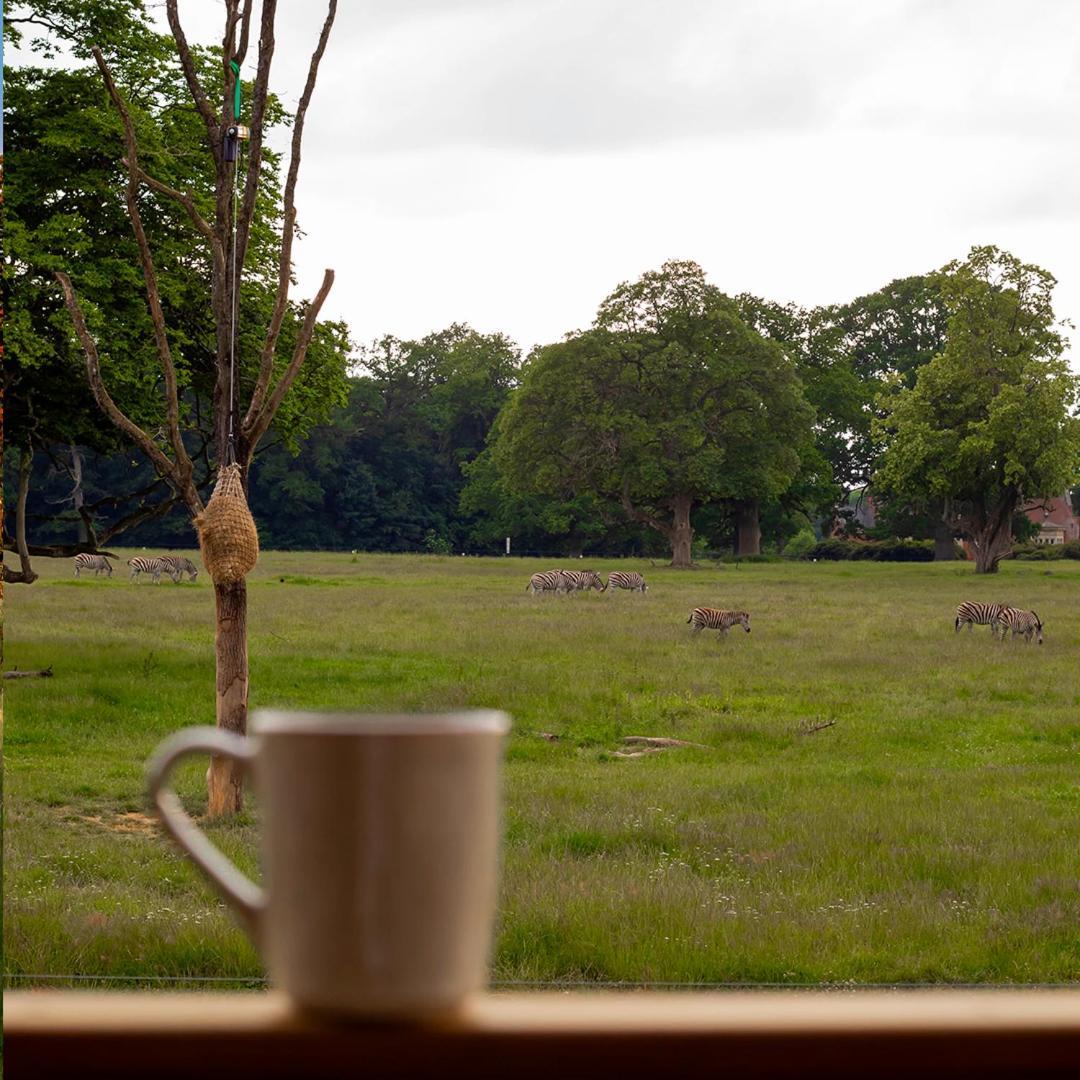 Knuthenborg Safaripark Hotel Maribo Bagian luar foto