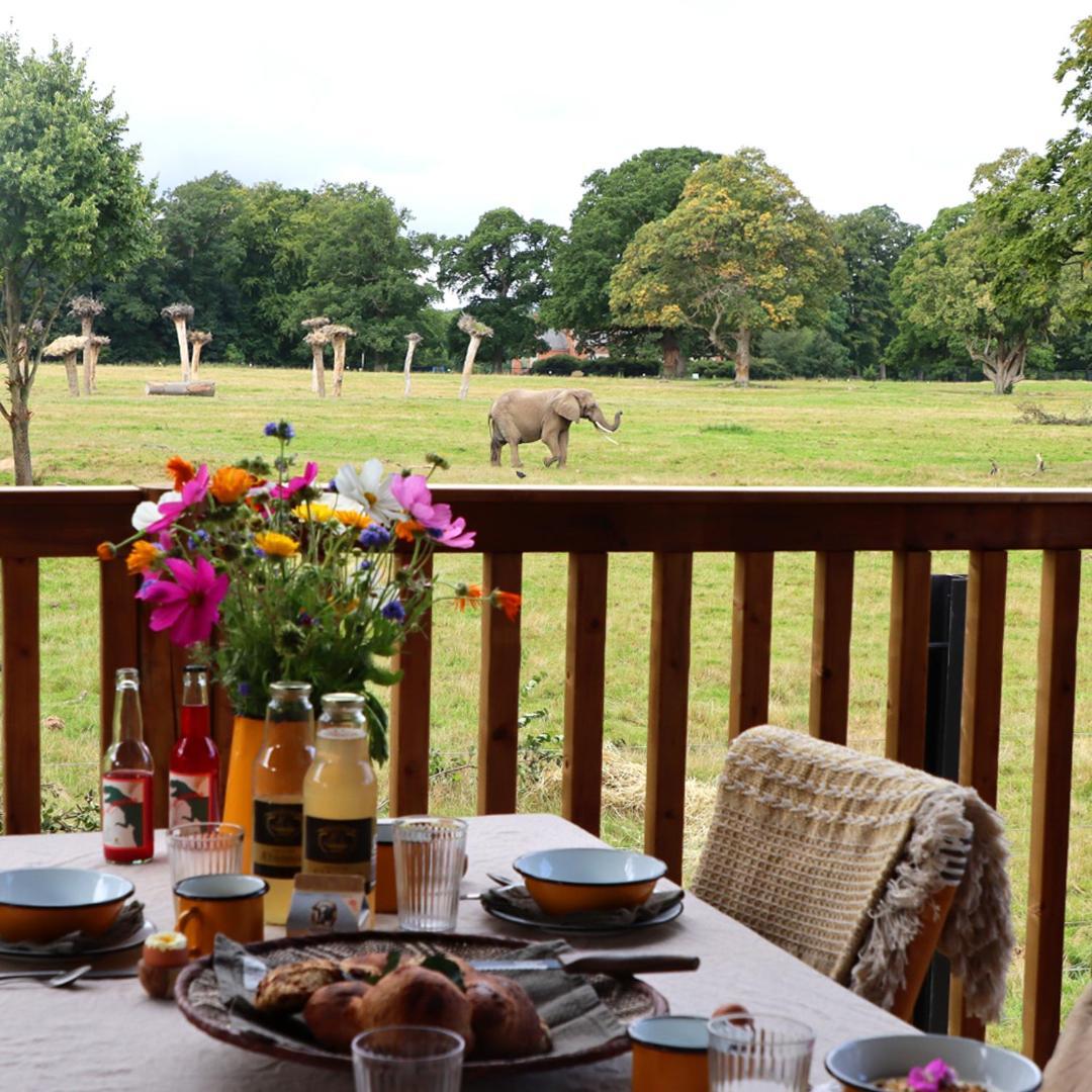 Knuthenborg Safaripark Hotel Maribo Bagian luar foto